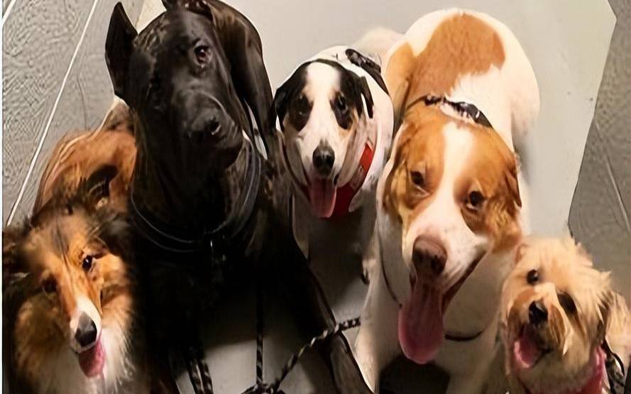 如果你有机会偷窥你会