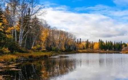 爱情征服之路，如何收服双子座