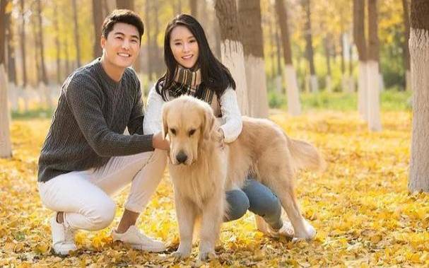 生肖狗的最佳伴侣，属狗婚配哪个属相最好最旺