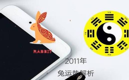 2025属兔的运势和财运 2025属兔的运势和财运