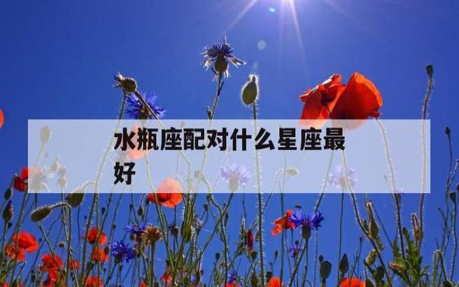 天蝎座和水瓶座星座配对指数