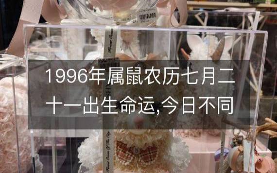 2008年属鼠的什么命，分析08年属鼠的命运
