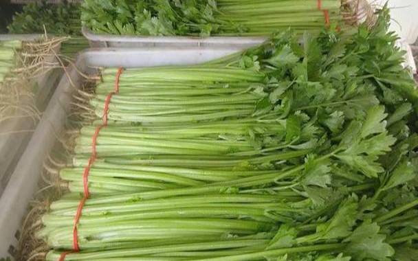 测你单身时是哪种蔬菜 测你单身时是哪种蔬菜