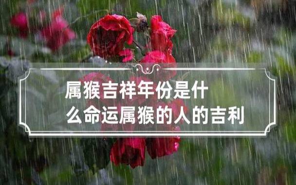 猴年出生的人性格特点，猴年性格怎么样