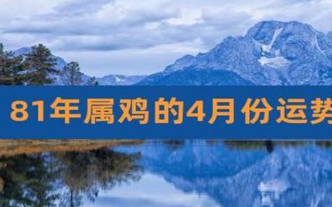 81年属鸡人在2025年的全年运势