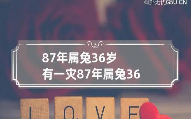 2024年属兔两喜一灾，2024年属兔人的运势是好是坏