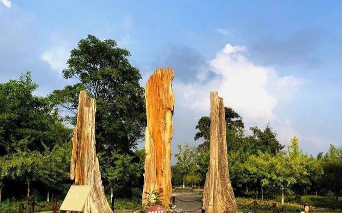 准得吓人的生命路线测试