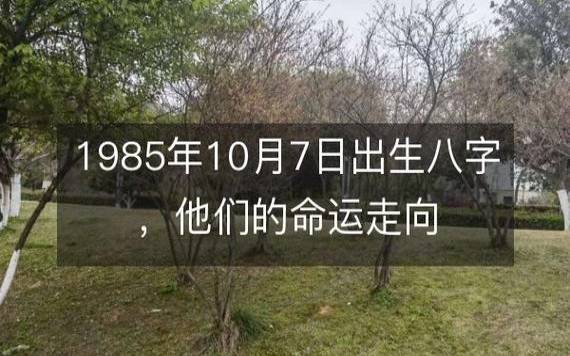1985年是什么命五行属什么，85年出生的人命运如何