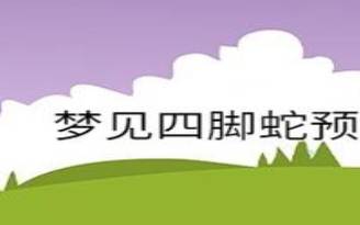 梦见启程