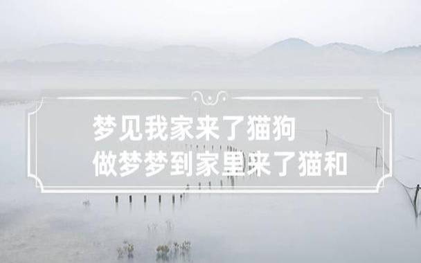 梦见起不来