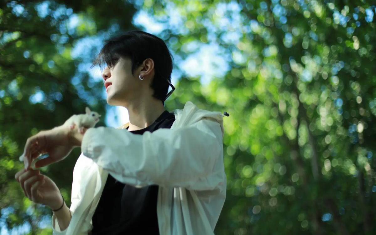 infp男有多稀有，男infp罕见程度