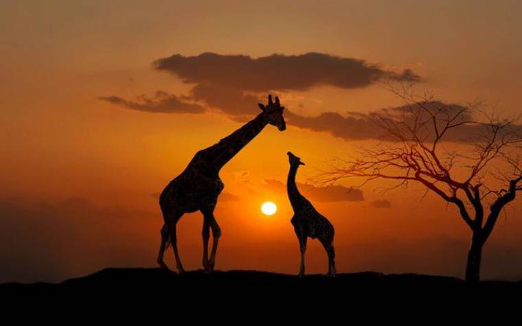 啥星座男越宠越爱犯贱