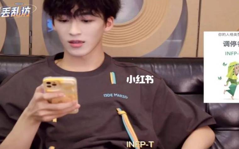 调停者infpt，infpt型人格报告