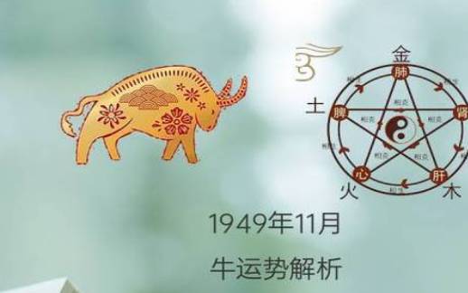 属牛人2024年11月运势 属牛人2024年11月运势
