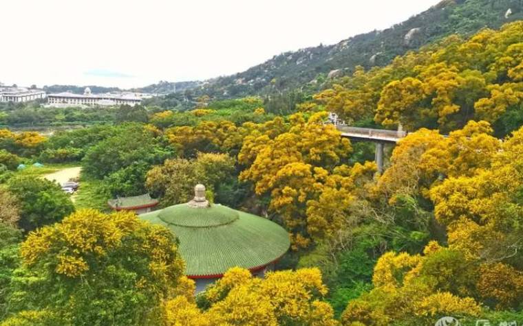 林清玄名字的由来 林清玄名字的由来