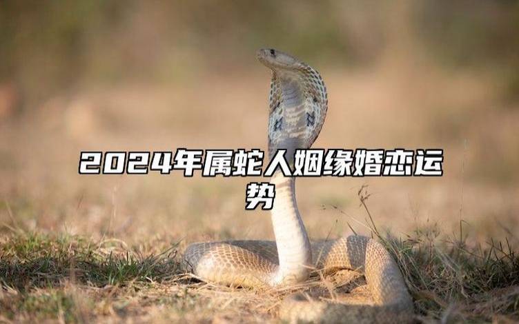 属蛇人2024年10月运势 属蛇人2024年10月运势