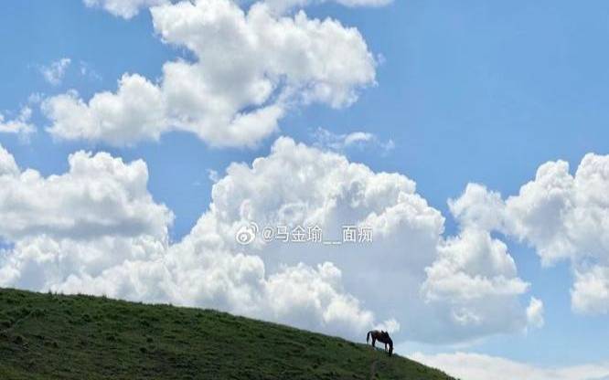 梦见马咬我