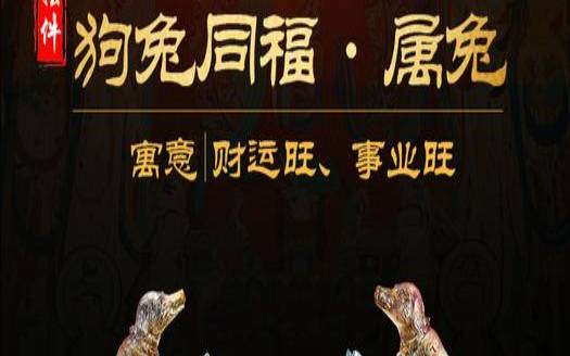 属兔的风水吉祥物，属兔的人用什么风水开运物