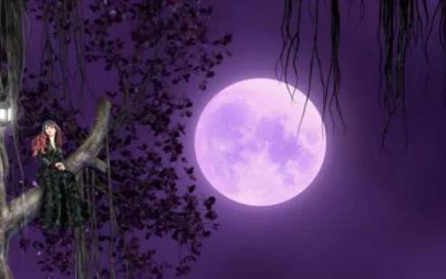 闹闹女巫星座白羊座月运势,2021年11月星座乐 闹闹女巫星座白羊座月运势,2021年11月星座乐