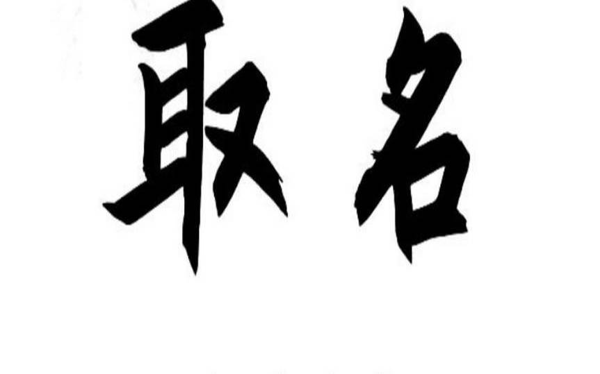 生辰八字起名网站 生辰八字起名网站