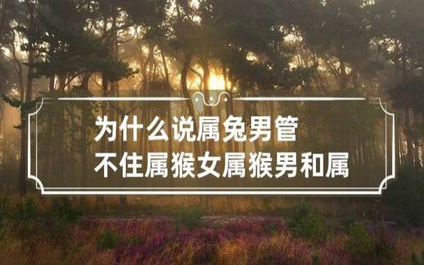 生肖男猴和生肖女猴的爱情 生肖男猴和生肖女猴的爱情