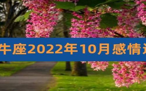 金牛座2022年11月感情运势,2022年11月金牛座感情运程详解 金牛座2022年11月感情运势,2022年11月金牛座感情运程详解