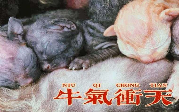 生于正月初二的宝宝乳名，亲切可爱的宝宝小名