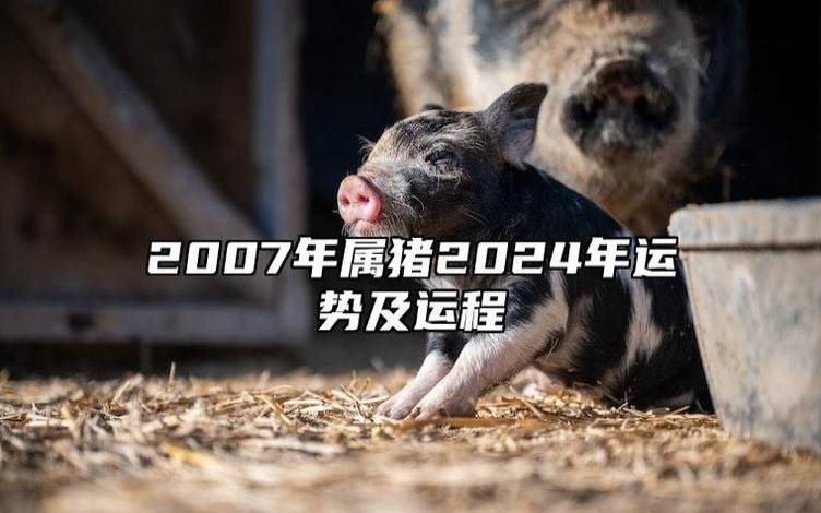 属猪人2024年4月运势 属猪人2024年4月运势