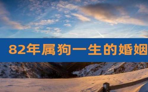 1982年属什么,盘点82年属狗一生三大劫难 1982年属什么,盘点82年属狗一生三大劫难
