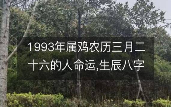 大林木为何害怕剑锋金 大林木为何害怕剑锋金