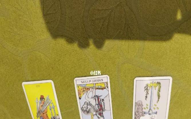 圣杯骑士正位感情未来