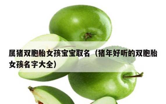 猪年独特霸气的女孩名字大全 猪年独特霸气的女孩名字大全