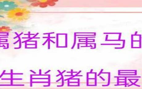 属马女和属马男人的婚姻怎么样,两个属马的能婚配吗 属马女和属马男人的婚姻怎么样,两个属马的能婚配吗