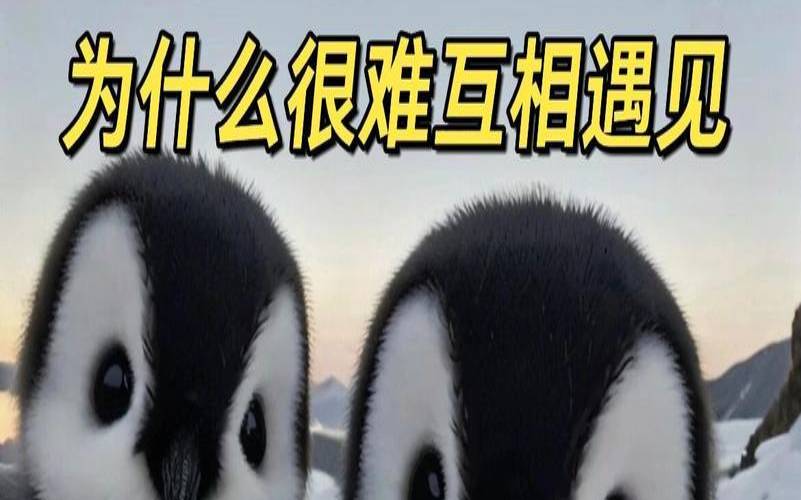 entj和intp，entj和intp的区别