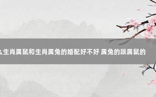 属兔和属鼠的婚配好不好 属兔和属鼠的婚配好不好