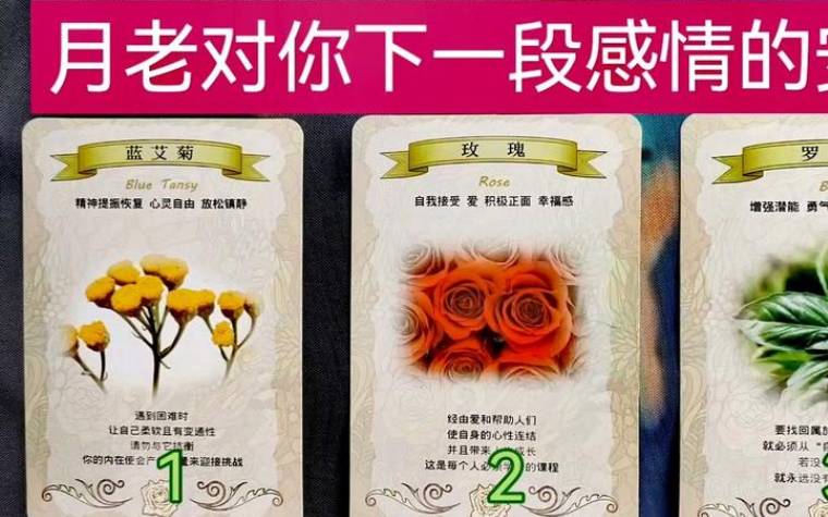 塔罗牌测试，你该如何触发好运开关