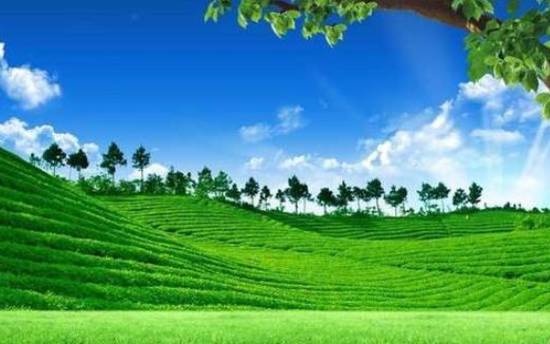 一分钟测你的读心能力你信吗 一分钟测你的读心能力你信吗