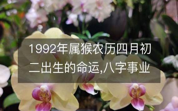 2004年属猴的几月出生最好