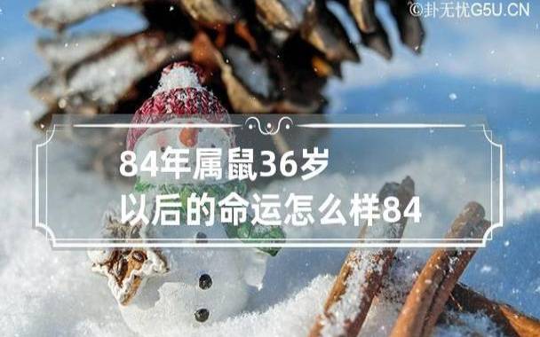 属鼠的孩子几月出生富贵，属鼠的孩子几月最有福气