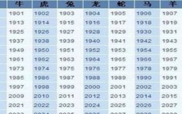 属羊的今年多大