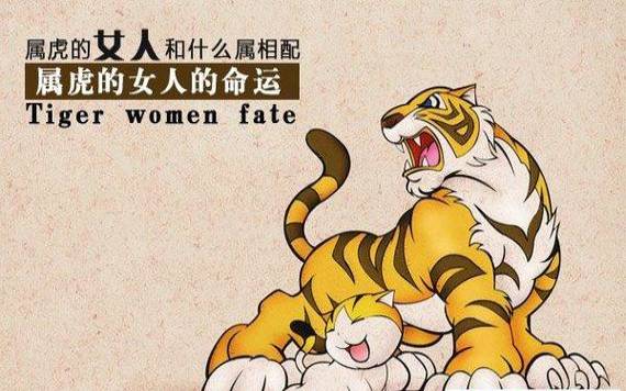 属虎女喜欢什么样的男人