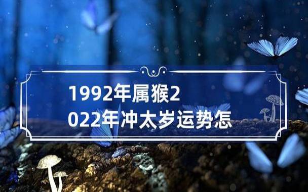 1992年属猴的几月出生最好,属猴哪个月出生好 1992年属猴的几月出生最好,属猴哪个月出生好