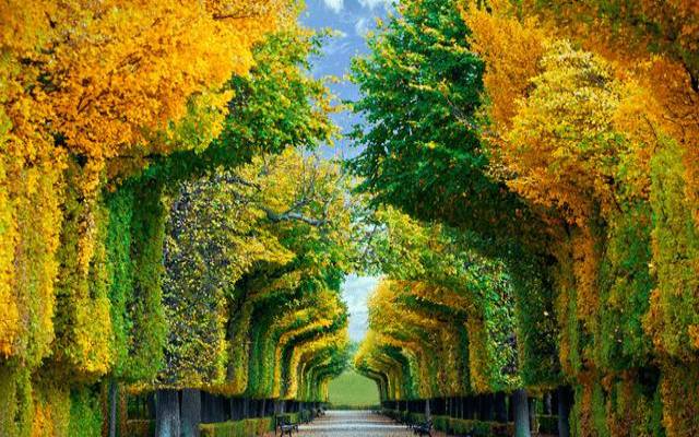 你的人生会选择走哪条道路 你的人生会选择走哪条道路