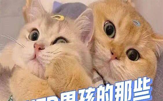 enfp和intj为什么是官配，enfp和intj官配