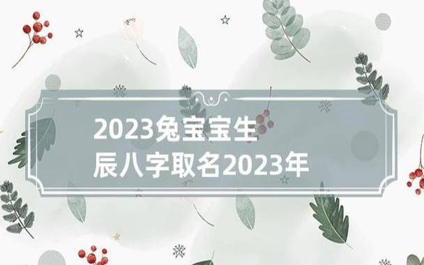 2023兔年取名注意,读起来响亮大气的好名字 2023兔年取名注意,读起来响亮大气的好名字