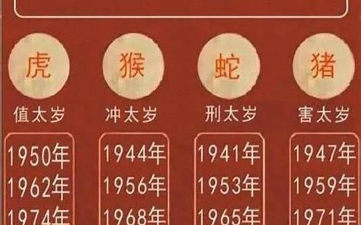 属虎人2024年12月运势