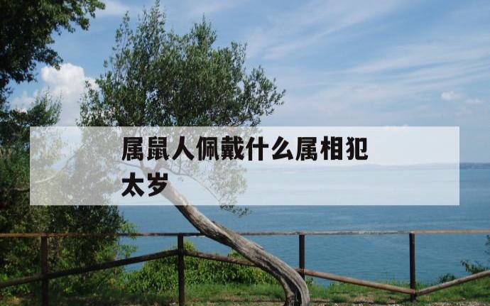 生肖属鼠的人是什么性格