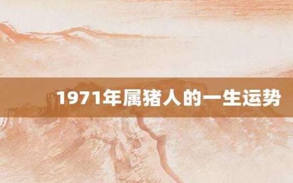 属猪人未来五年运势,惊喜与刺激并存 属猪人未来五年运势,惊喜与刺激并存