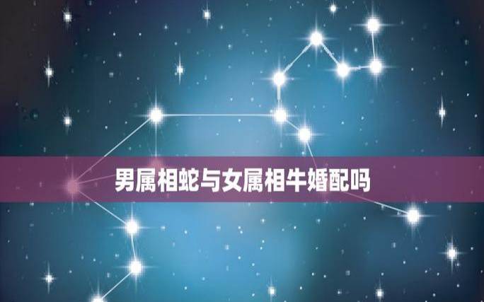 属牛的和什么属相最配，属牛的最佳婚配详解