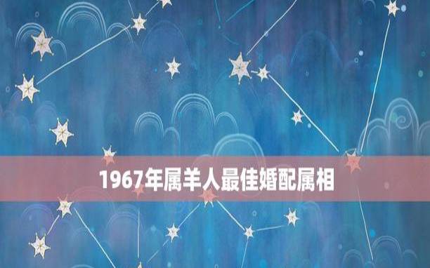 1967年是属什么属相，67年羊在2024年灾难